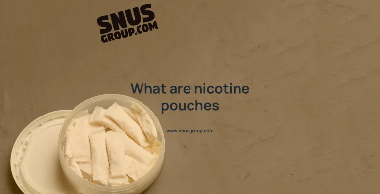 What are nicotine pouches?